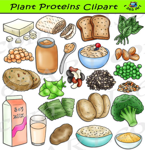 Plant Proteins Clipart
