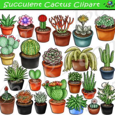 Succulent Cactus Clipart
