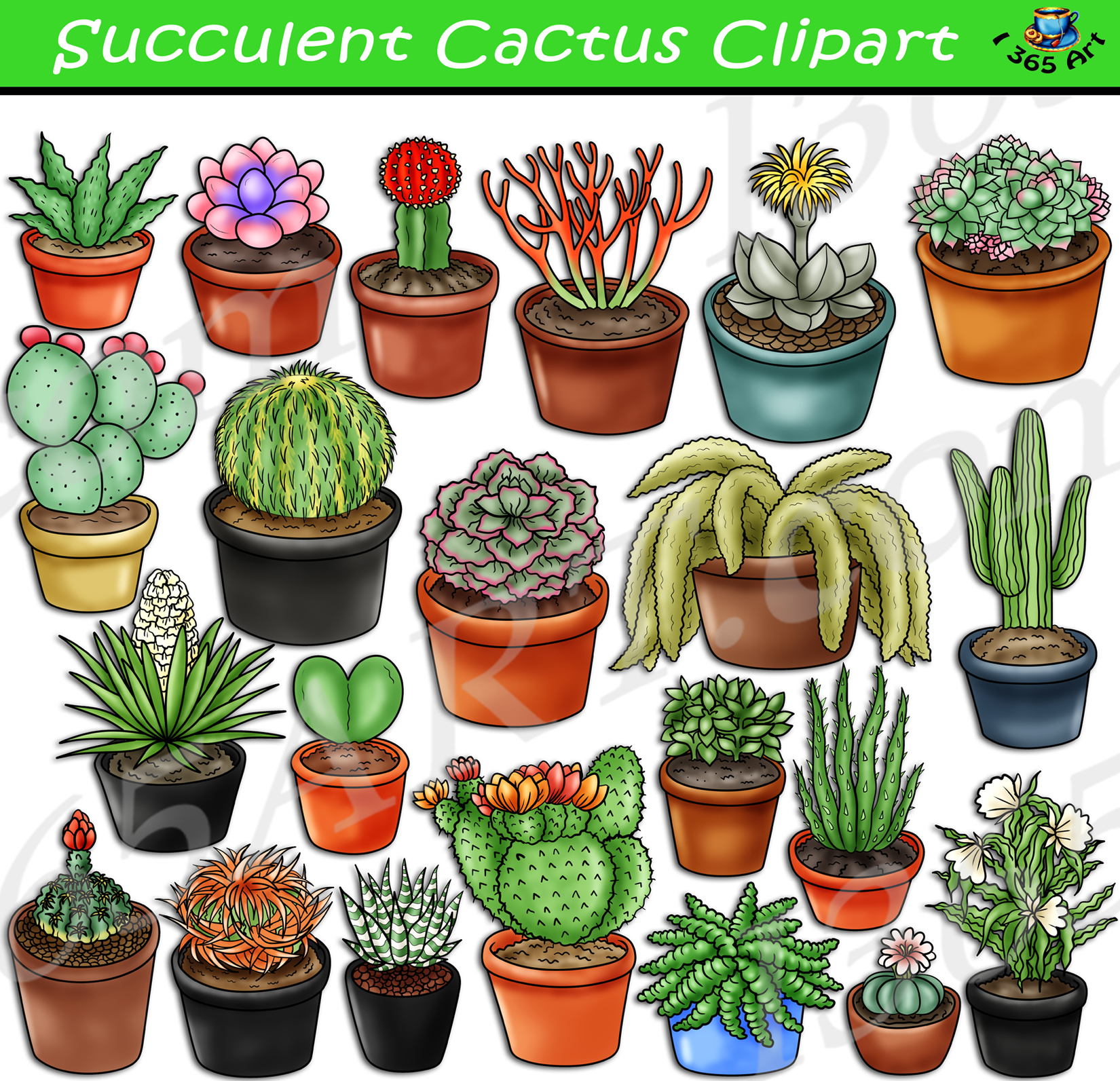 Succulent Cactus Clipart Set Download - Clipart 4 School