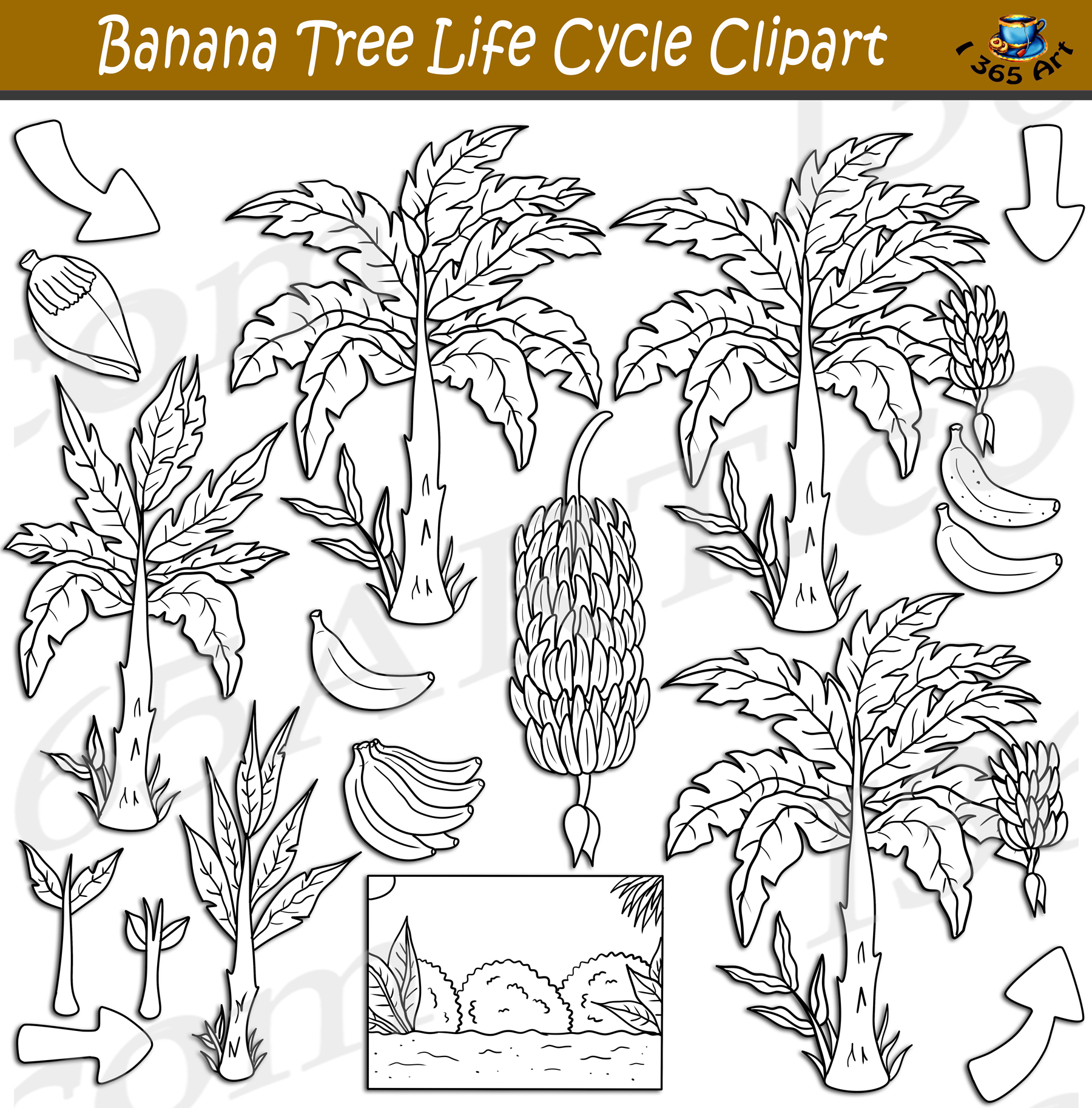 banana tree drawing png