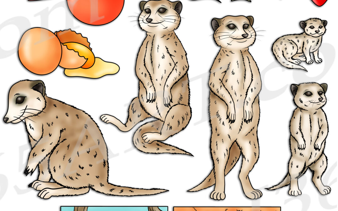 Meerkat Life Cycle Clipart Set Download