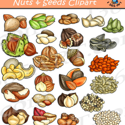 Nuts And Seeds Clipart