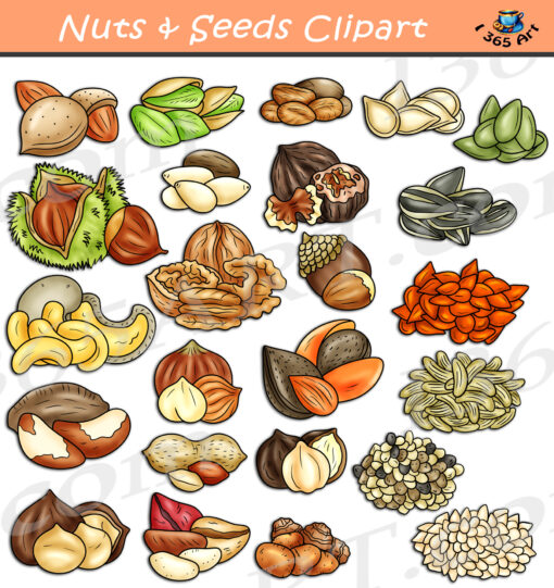 Nuts And Seeds Clipart
