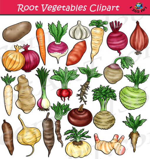 Root Vegetables Clipart