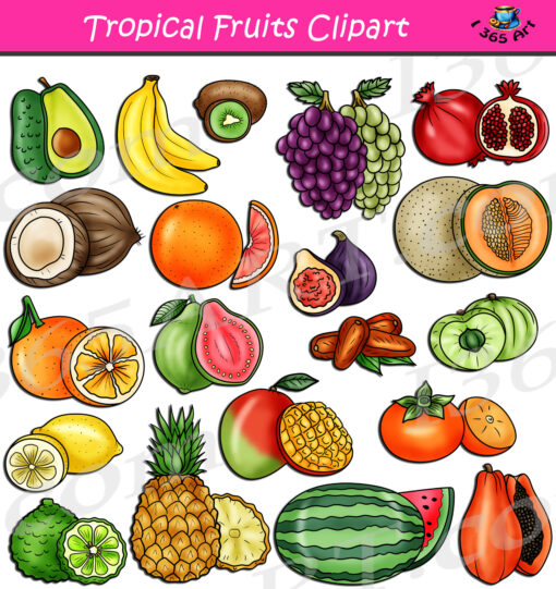 Tropical Fruits Clipart