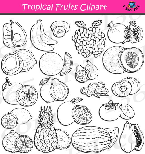 Tropical Fruits Clipart