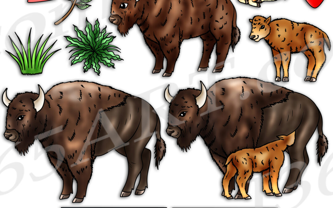 Bison Life Cycle Clipart Set Download