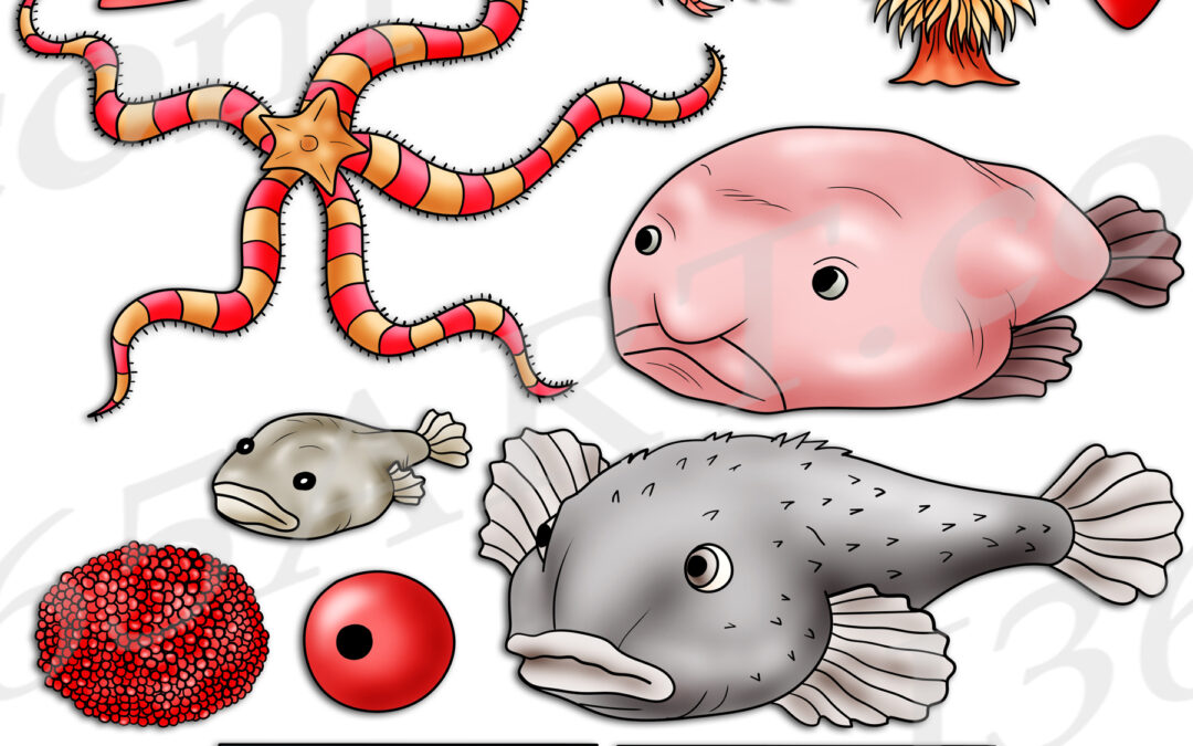 Blobfish Life Cycle Clipart Set Download