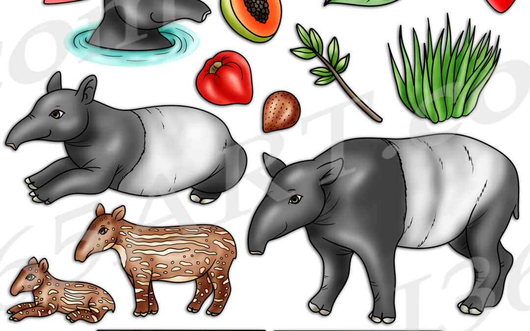 Tapir Life Cycle Clipart Set Download