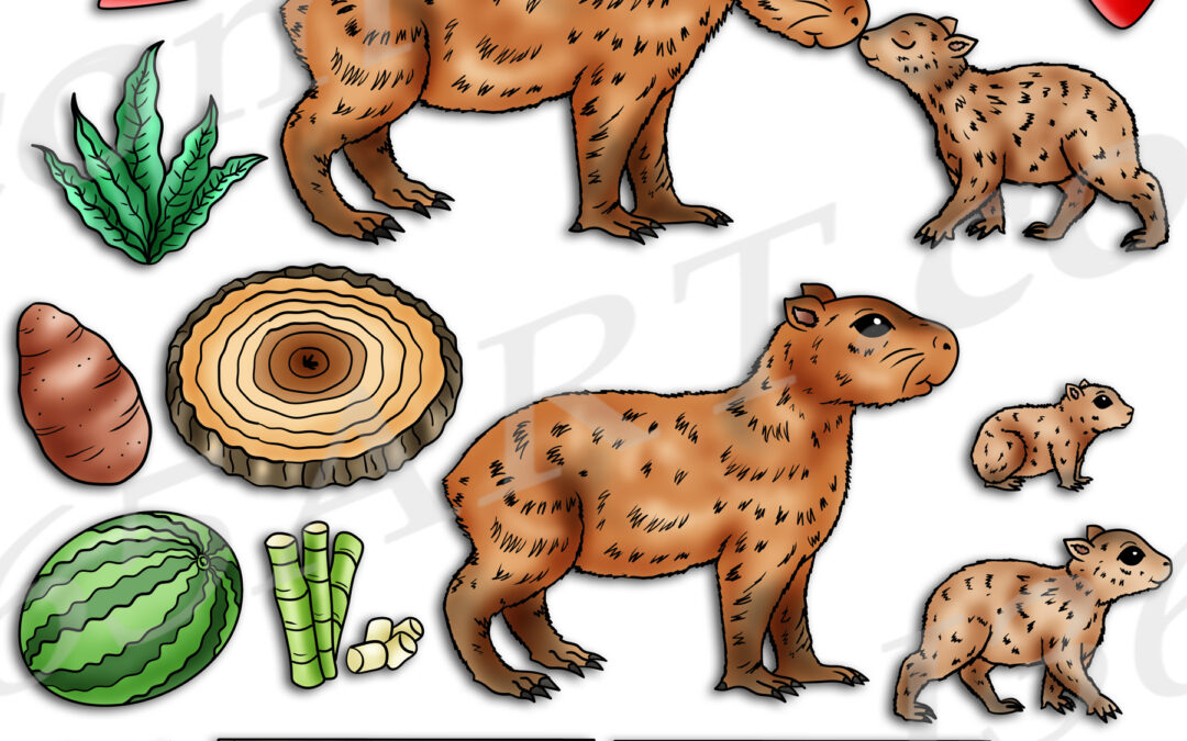 Capybara Life Cycle Clipart Set Download