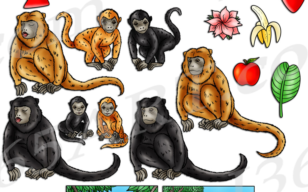 Howler Monkey Life Cycle Clipart Set Download