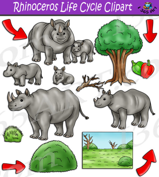 Rhinoceros Life Cycle Clipart