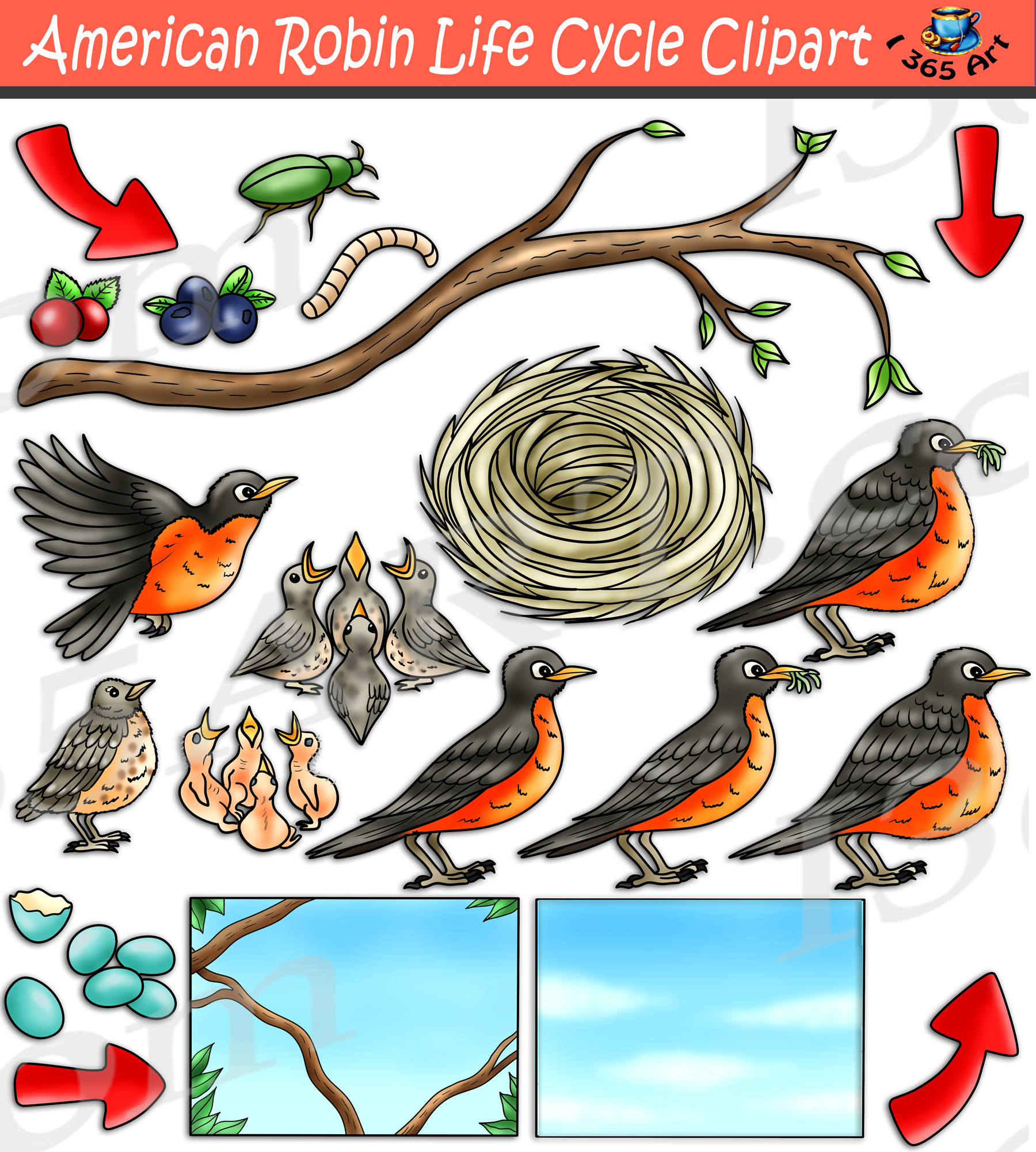 robin nest clip art