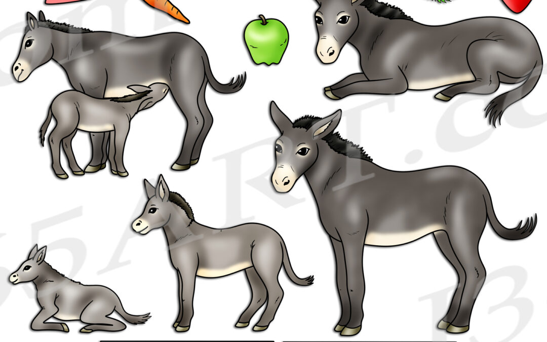 Donkey Life Cycle Clipart Set Download