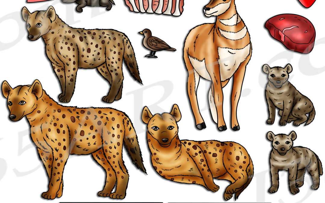 Hyena Life Cycle Clipart Set Download