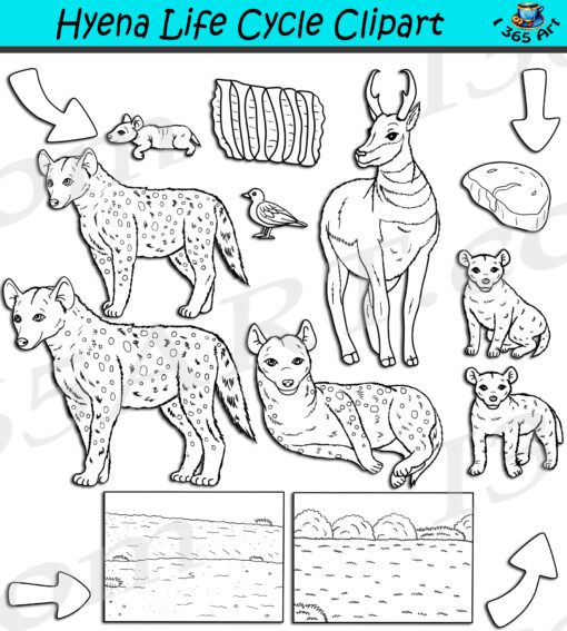 Hyena Life Cycle Clipart Set Download
