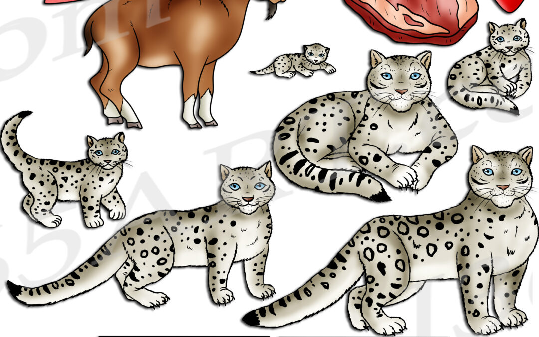 Snow Leopard Life Cycle Clipart Set Download