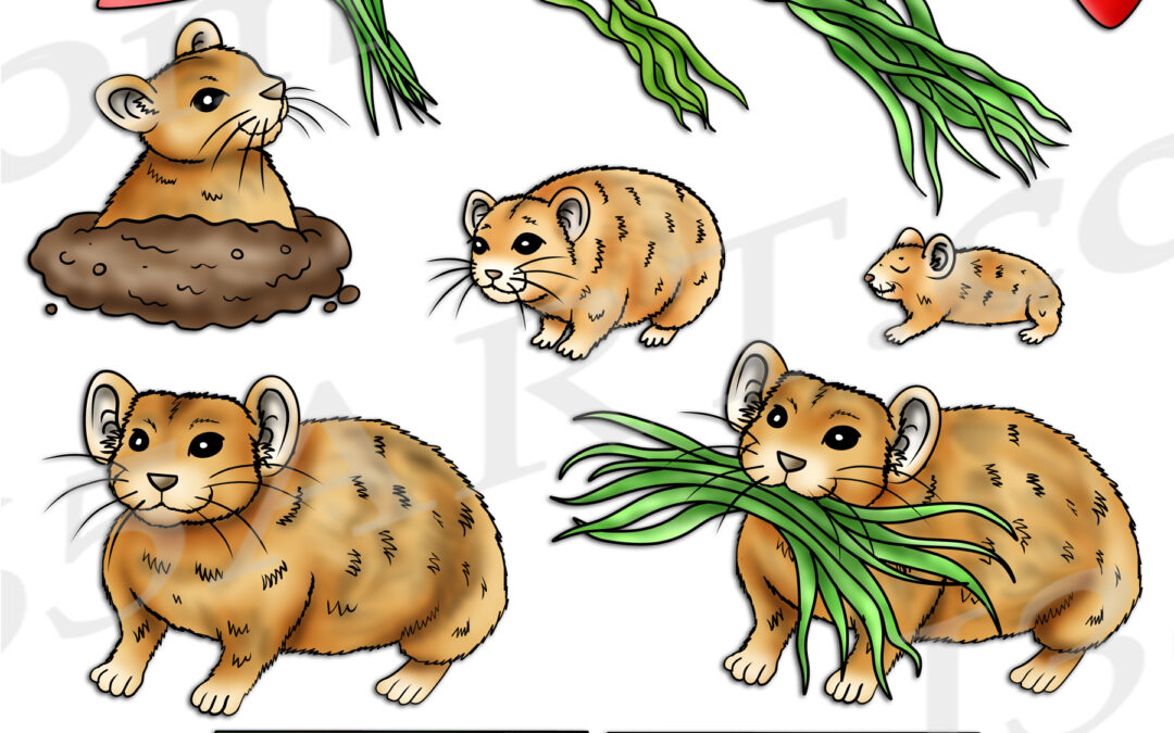 Pika Life Cycle Clipart Set Download