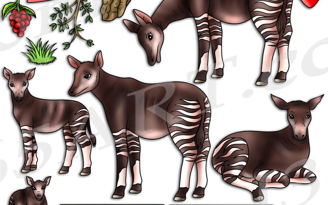 Okapi Life Cycle Clipart Set Download