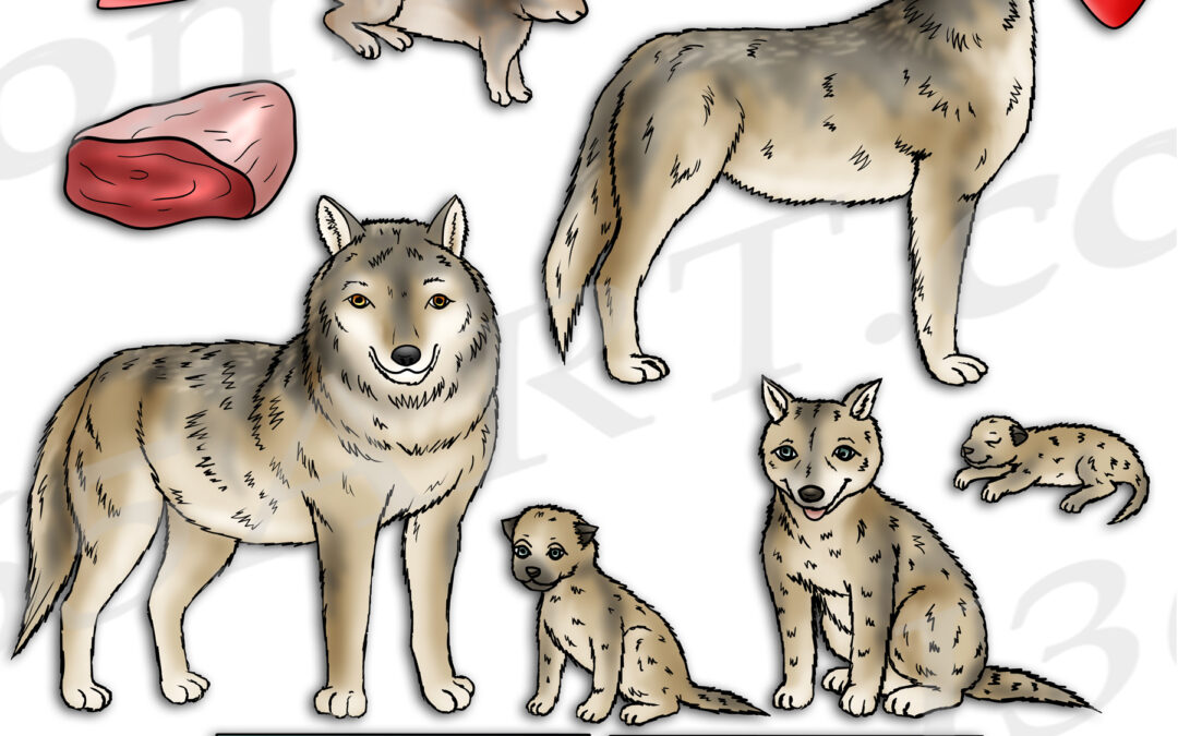 Gray Wolf Life Cycle Clipart Set Download