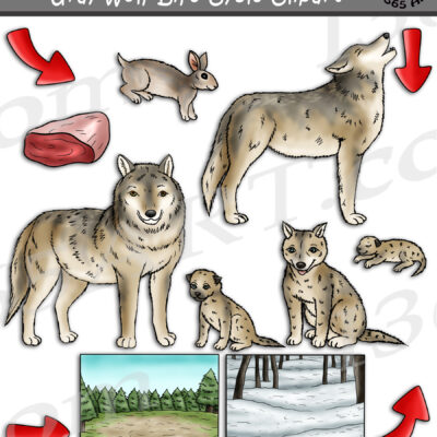 Gray Wolf Life Cycle Clipart