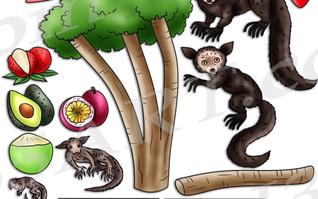 Aye-Aye Life Cycle Clipart Set Download