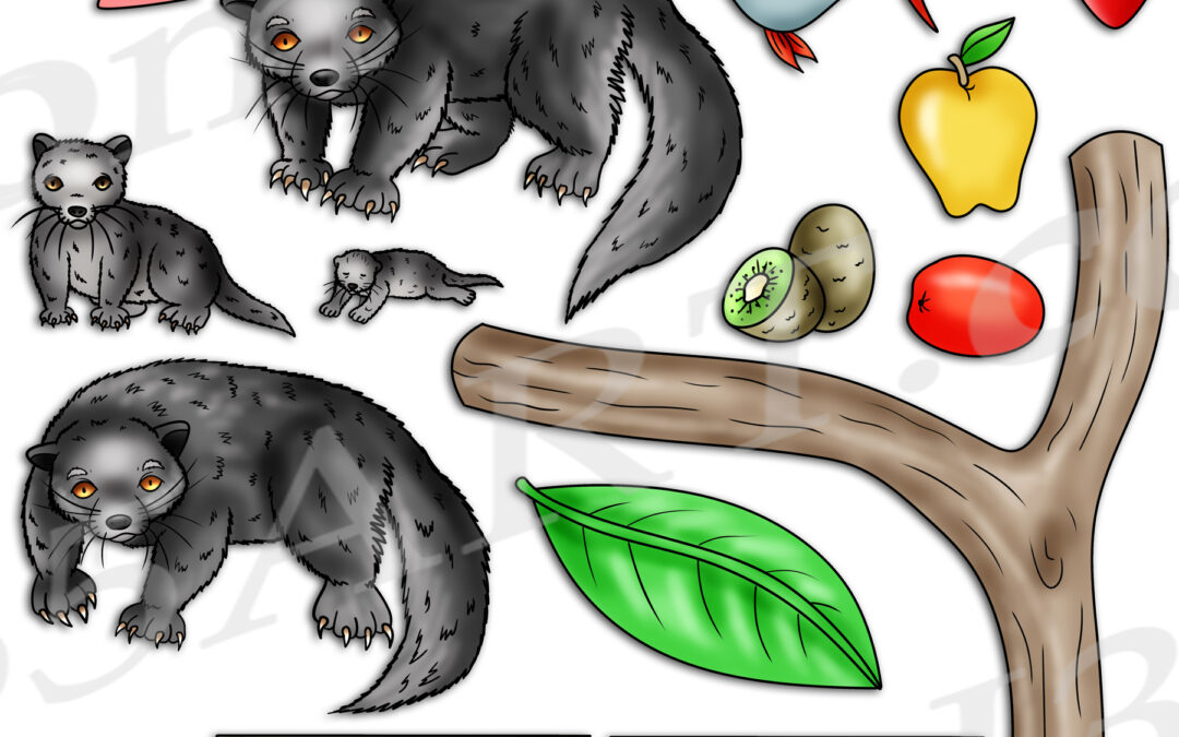 Binturong Life Cycle Clipart Set Download