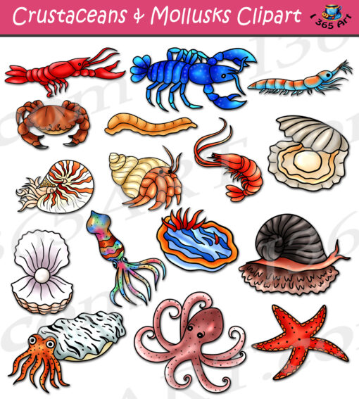 Crustaceans & Mollusks Clipart