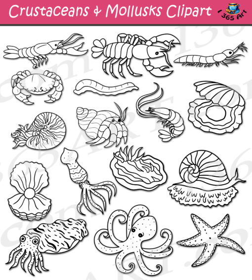 Crustaceans & Mollusks Clipart