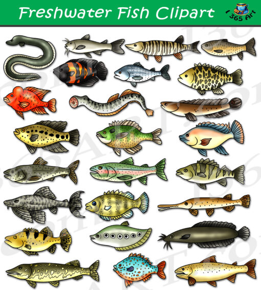 Freshwater Fish Clipart