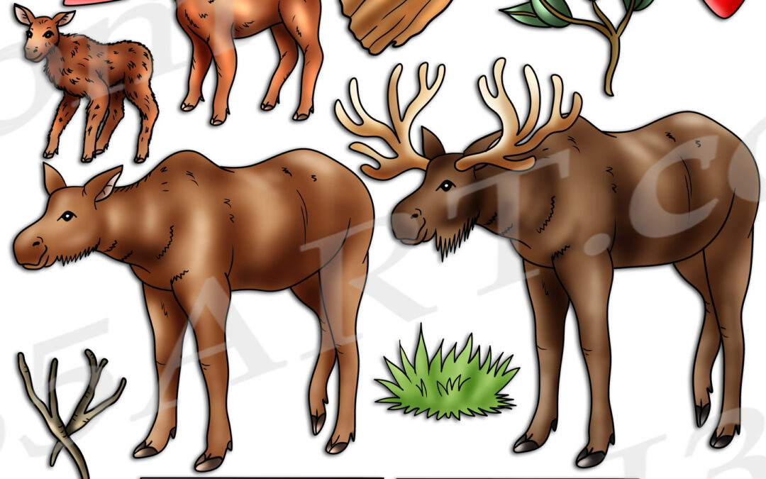 Moose Life Cycle Clipart Set Download
