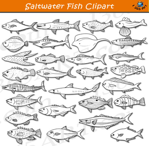 Saltwater Fish Clipart