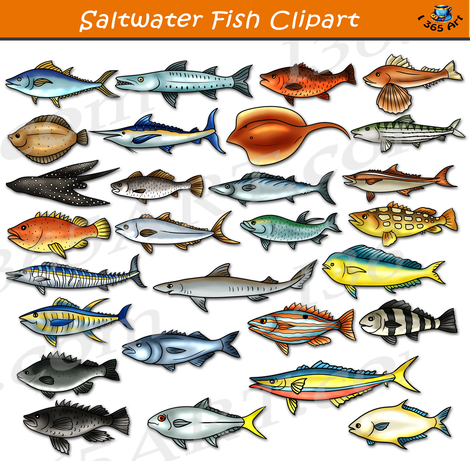 Saltwater Fish Clipart Set Download