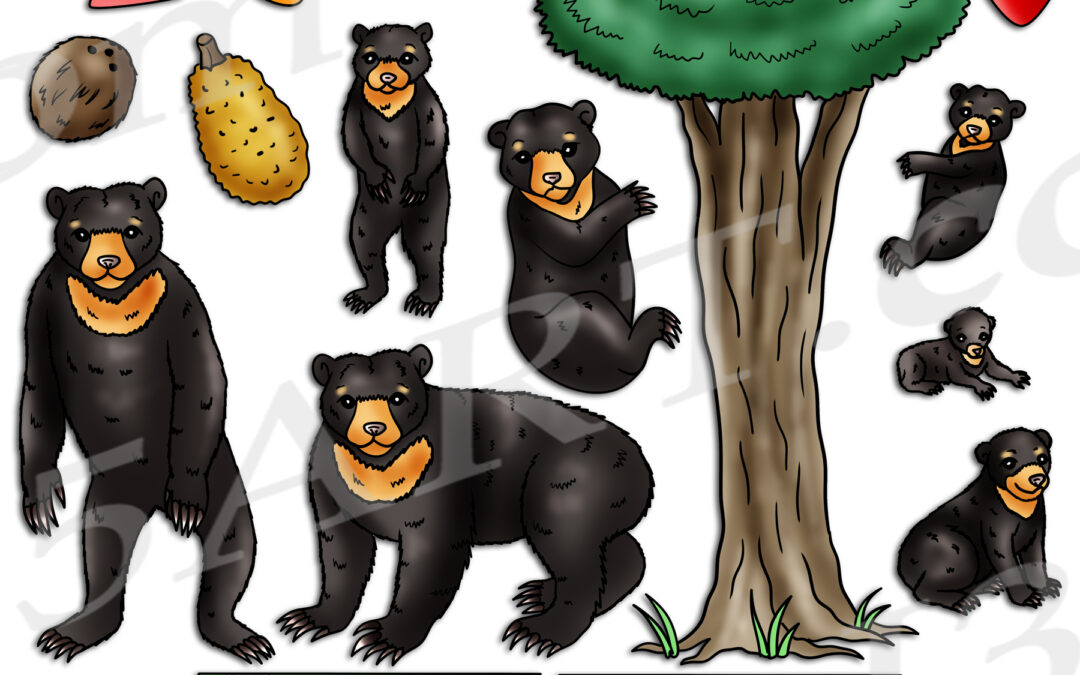 Sun Bear Life Cycle Clipart Set Download