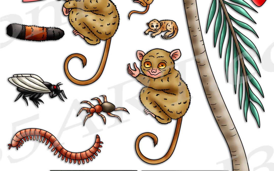 Tarsier Life Cycle Clipart Set Download