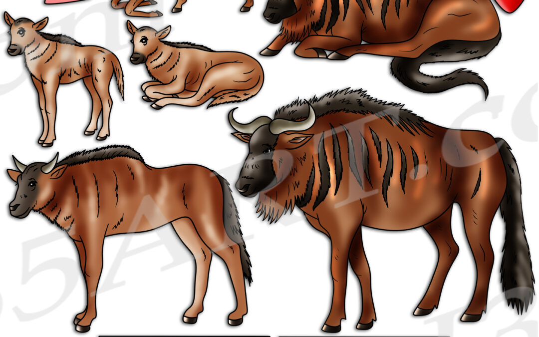 Wildebeest Life Cycle Clipart Set Download