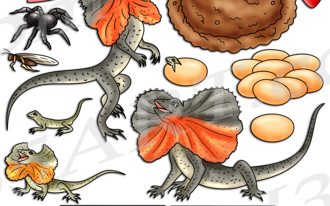 Frilled-Neck Lizard Life Cycle Clipart Set Download