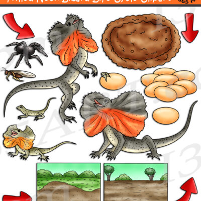 Frilled-Neck Lizard Life Cycle Clipart
