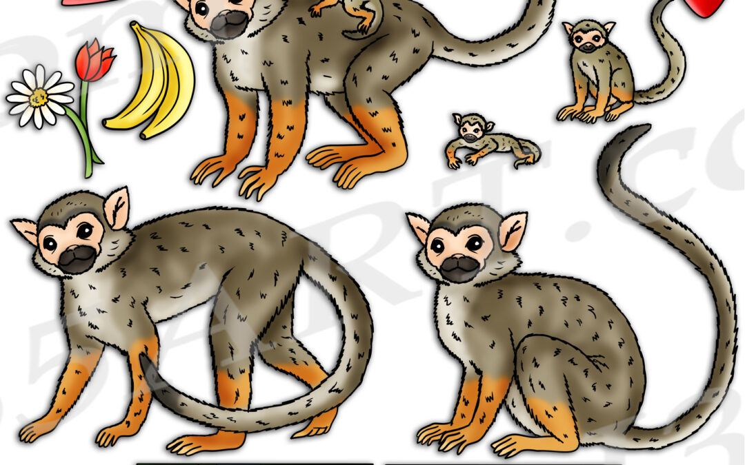 Squirrel Monkey Life Cycle Clipart Set Download