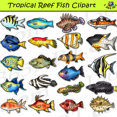 Tropical Reef Fish Clipart