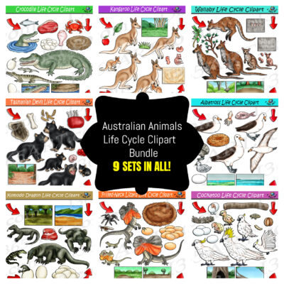 Australian Animals Life Cycle Clipart Bundle #1