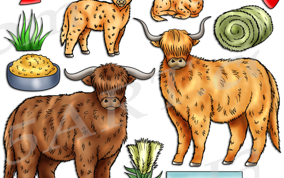 Highland Cow Life Cycle Clipart Set Download