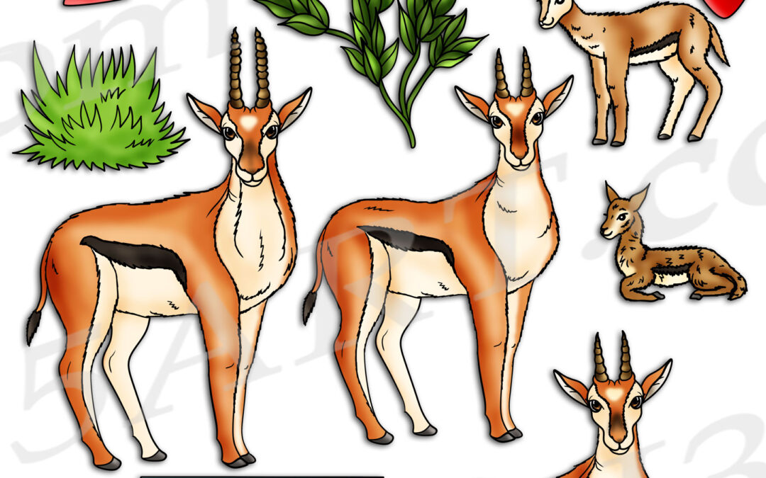 Thomson’s Gazelle Life Cycle Clipart Set Download