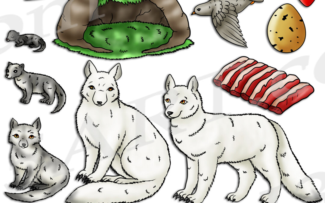 Arctic Fox Life Cycle Clipart Set Download
