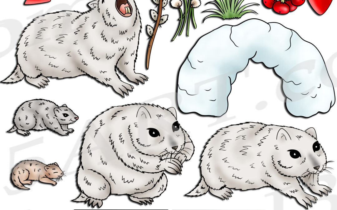 Collared Lemming Life Cycle Clipart Set Download