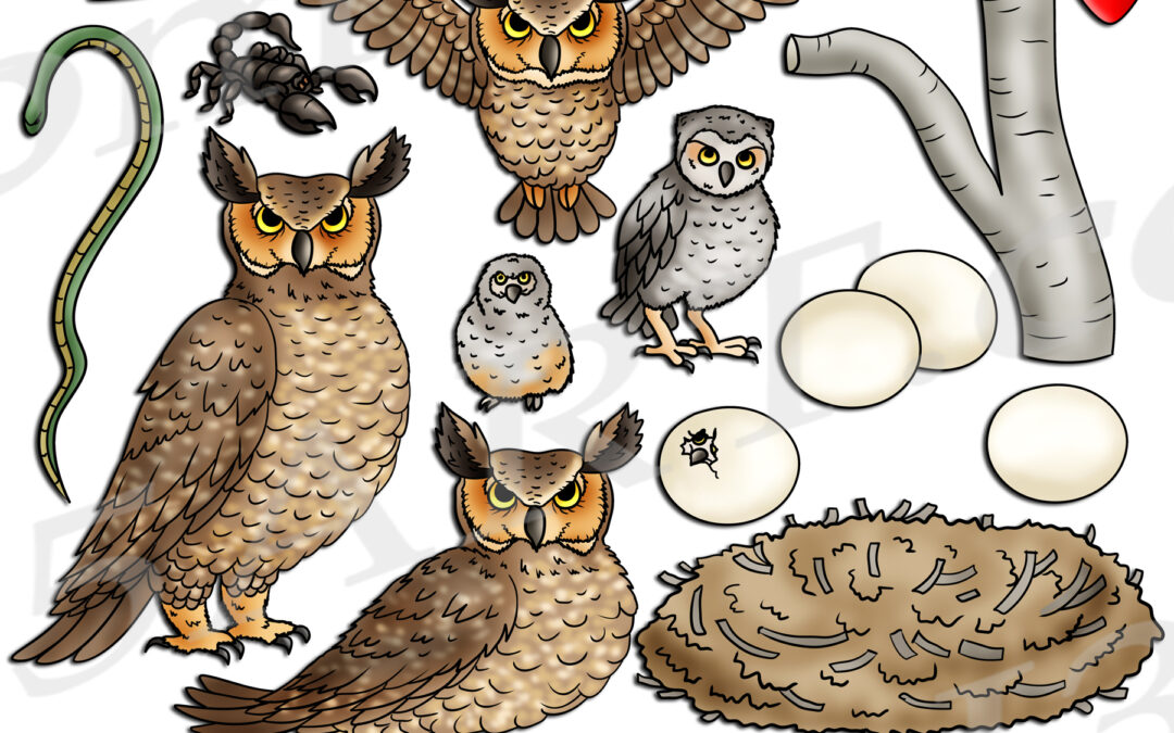 Great Horned Owl Life Cycle Clipart Set Download
