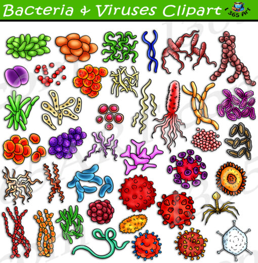 Bacteria And Viruses Clipart