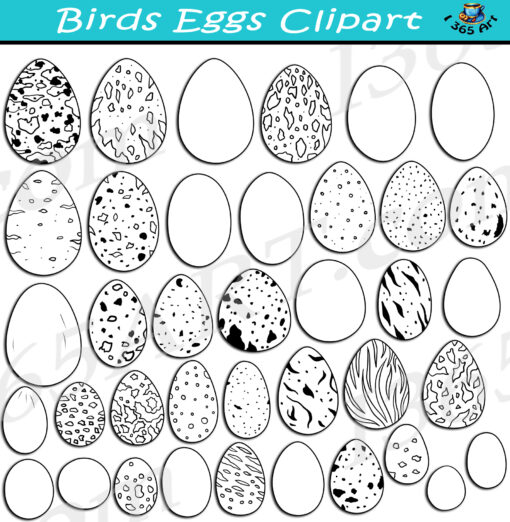 Birds Eggs Clipart