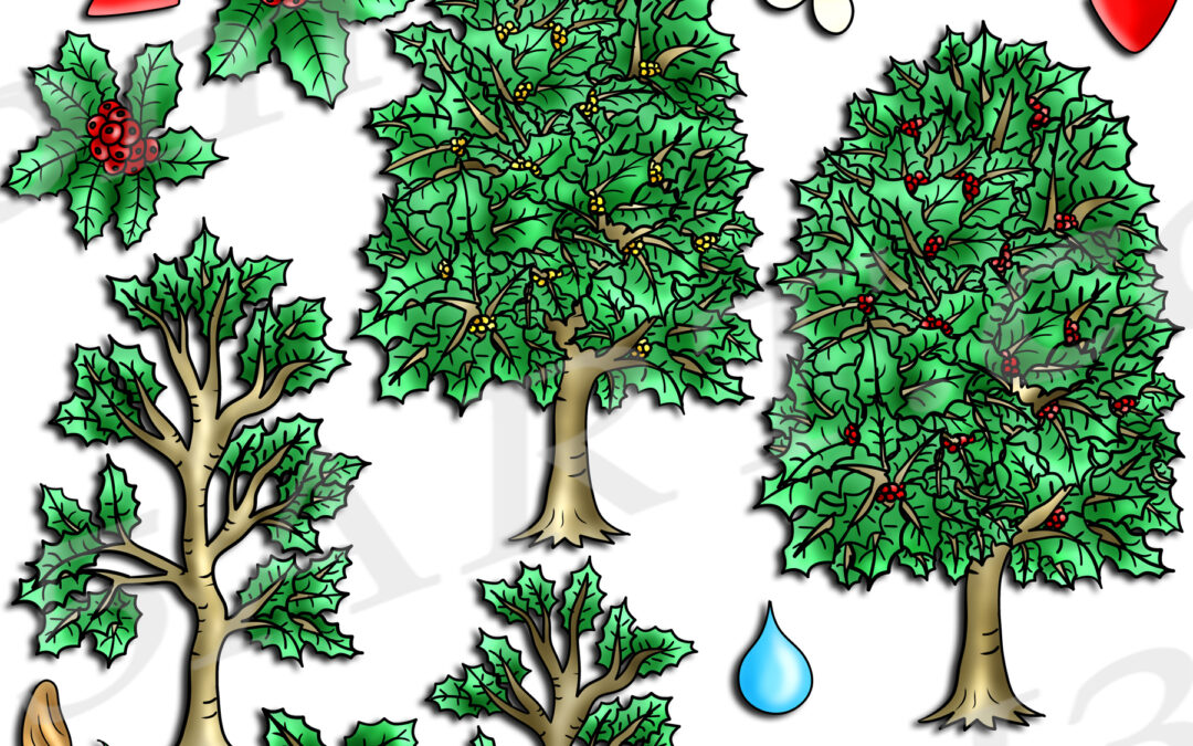 Holly Tree Life Cycle Clipart Set Download