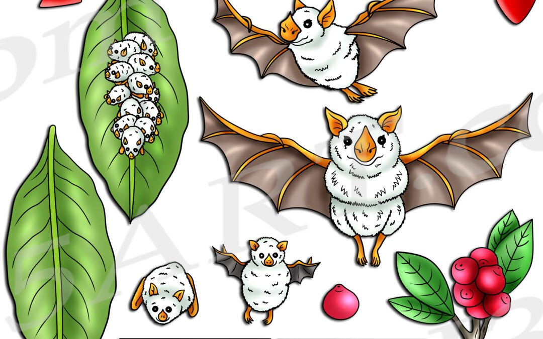 Honduran White Bat Life Cycle Clipart Set Download